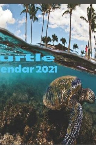 Cover of Turtle calendar 2021