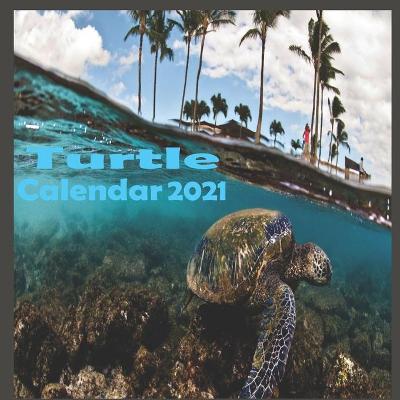 Cover of Turtle calendar 2021