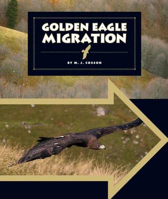 Book cover for Golden Eagle Migration