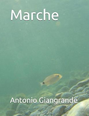 Cover of Marche