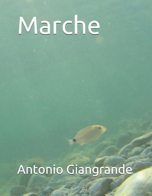 Book cover for Marche