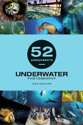 Book cover for Underwater Photography