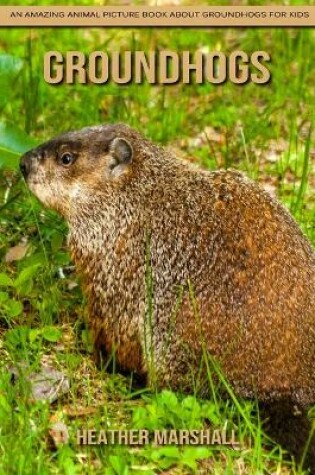 Cover of Groundhogs