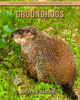 Book cover for Groundhogs