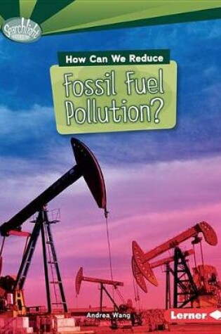 Cover of How Can We Reduce Fossil Fuel Pollution?