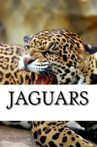 Cover of Jaguar Journal