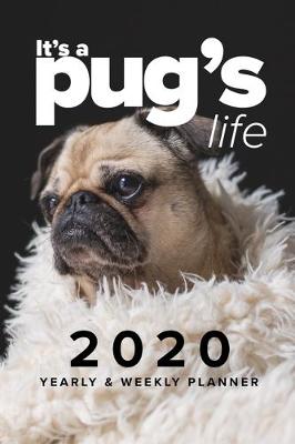 Book cover for It's A Pug's Life 2020 Yearly & Weekly Planner