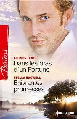 Book cover for Dans Les Bras D'Un Fortune - Enivrantes Promesses