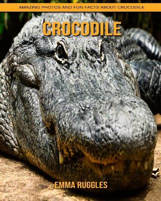 Book cover for Crocodile