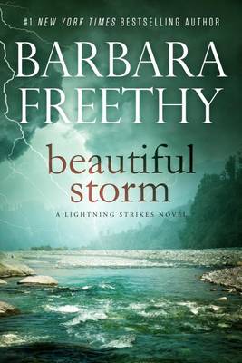 Book cover for Beautiful Storm