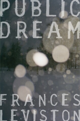 Cover of Public Dream