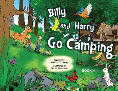 Cover of Billy and Harry Go Camping