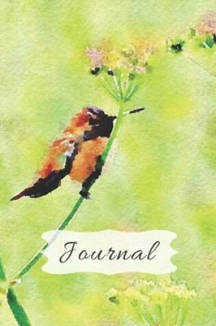 Cover of Cute Pastel Green cover with Fluffy Golden Hummingbird & Flower Pretty Diary Journal for Daily Thoughts