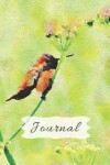 Book cover for Cute Pastel Green cover with Fluffy Golden Hummingbird & Flower Pretty Diary Journal for Daily Thoughts