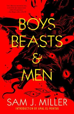 Book cover for Boys, Beasts & Men