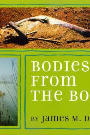 Cover of Bodies from the Bog