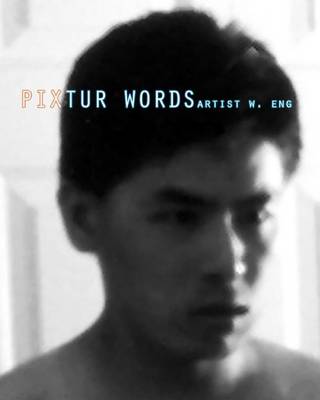 Book cover for Pixtur Words