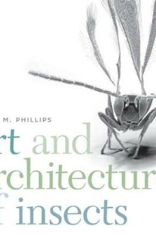 Cover of Art and Architecture of Insects