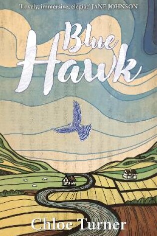 Cover of Blue Hawk