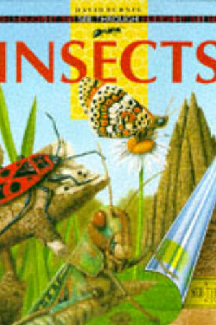 Cover of See Through Insects