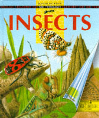 Book cover for See Through Insects