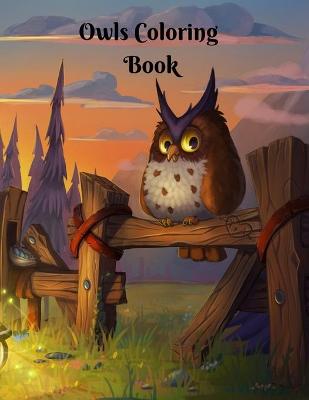 Book cover for Owls Coloring Book