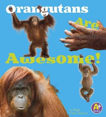 Book cover for Orangutans Are Awesome!