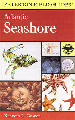 Book cover for A Field Guide to the Atlantic Seashore