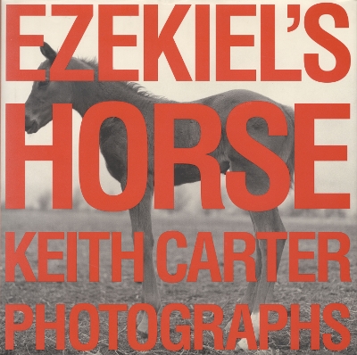 Cover of Ezekiel's Horse