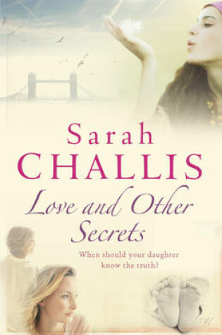 Cover of Love and Other Secrets