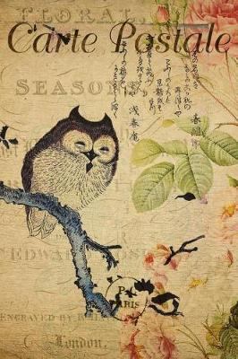 Book cover for Carte Postale - Owl on Branch - Paris - Journal - 6 X 9 150 Lined Pages