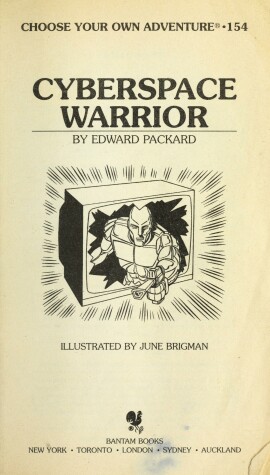 Book cover for Cyberspace Warrior