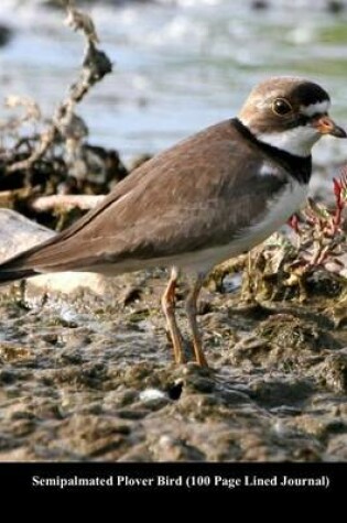 Cover of Semipalmated Plover Bird (100 Page Lined Journal)