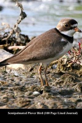 Book cover for Semipalmated Plover Bird (100 Page Lined Journal)