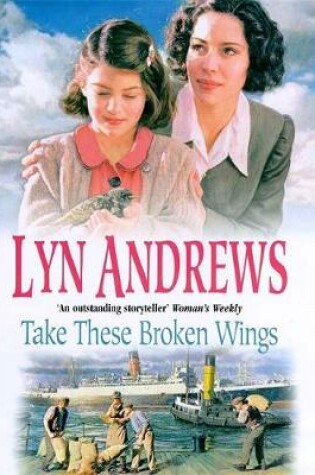 Cover of Take These Broken Wings