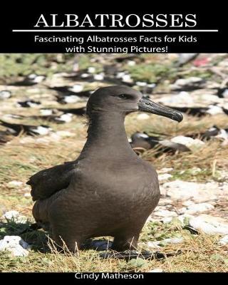 Book cover for Albatrosses