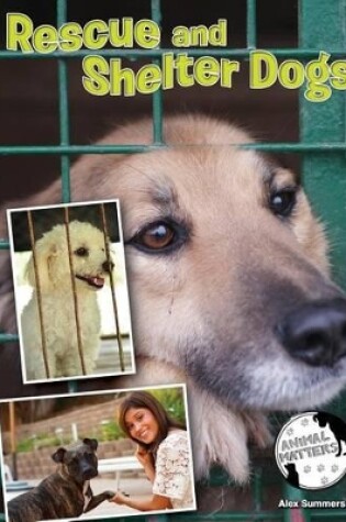 Cover of Rescue and Shelter Dogs
