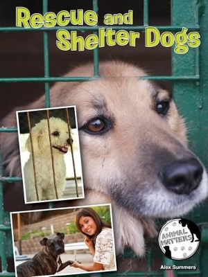 Book cover for Rescue and Shelter Dogs