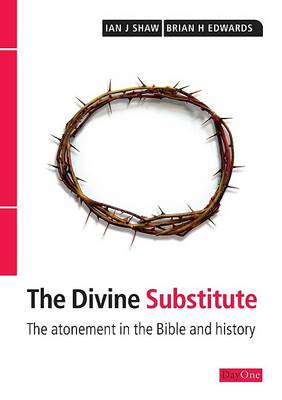 Book cover for Divine Substitute