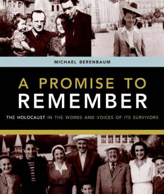 Book cover for A Promise to Remember