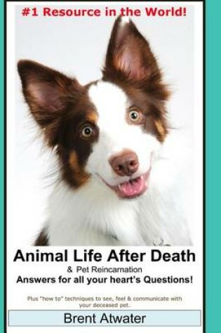 Cover of Animal Life After Death & Pet Reincarnation