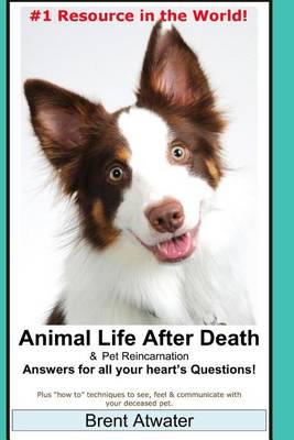 Book cover for Animal Life After Death & Pet Reincarnation