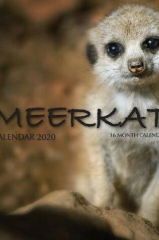 Cover of Meerkat Calendar 2020