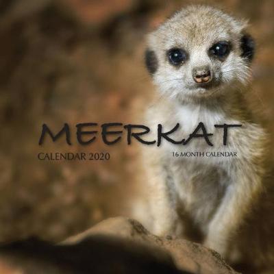 Book cover for Meerkat Calendar 2020