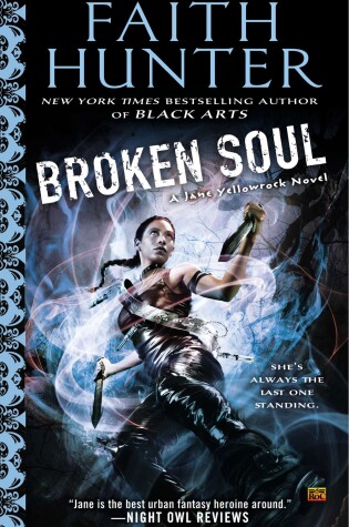 Cover of Broken Soul
