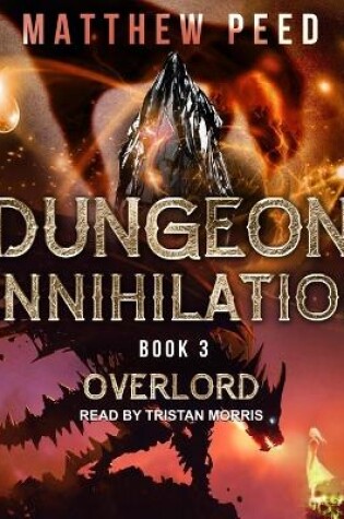 Cover of Overlord