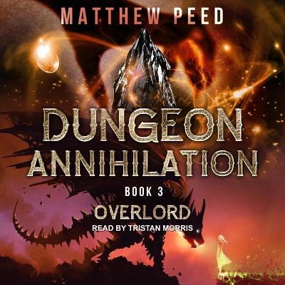 Book cover for Overlord