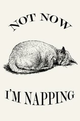 Cover of Not Now I'm Napping