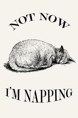 Book cover for Not Now I'm Napping