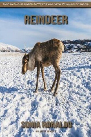 Cover of All About Reindeer